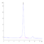 Mouse CDH17/Cadherin 17 Protein BP004923 Syd Labs