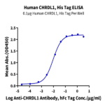 Human CHRDL1 Protein BP004332 Syd Labs
