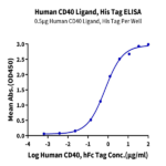 Human CD40 Ligand/TNFSF5 Protein BP003219 Syd Labs