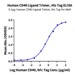Human CD40 Ligand/TNFSF5 Trimer Protein BP005338 Syd Labs Syd Labs