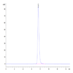 Human CHODL Protein BP004478 Syd Labs