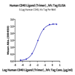 Human CD40 Ligand/TNFSF5 Trimer Protein BP005339 Syd Labs
