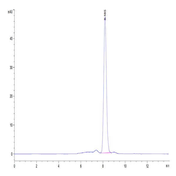 Human CD40 Ligand/TNFSF5 Trimer Protein (CDL-HM240)