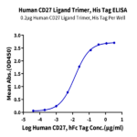Human CD27 Ligand/CD70 Trimer Protein BP005717 Syd Labs