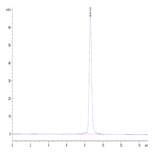 Human CD27 Ligand/CD70 Trimer Protein (CDL-HM427)
