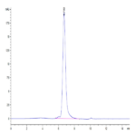 Biotinylated Human CD27 Ligand/CD70 Trimer Protein (Primary Amine Labeling) (CDL-HM427B)