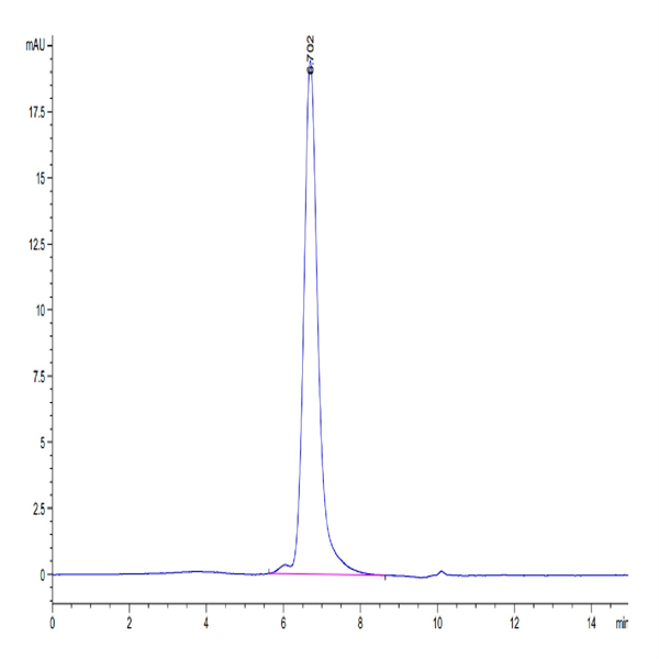 Biotinylated Human CD27 Ligand/CD70 Trimer Protein (Primary Amine Labeling) (CDL-HM427B)