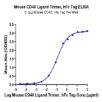 Mouse CD40 Ligand/TNFSF5 Trimer Protein BP005364 Syd Labs