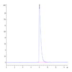 Cynomolgus CADM3 Protein BP003987 Syd Labs