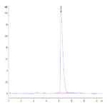 Human CADM3 Protein BP004620 Syd Labs