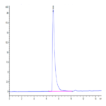 Canine CEACAM-1/CD66a Protein BP003578 Syd Labs