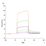 Human CEACAM-8/CD66b Protein BP005059 Syd Labs