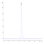 Mouse CEACAM-1/CD66a Protein BP004367 Syd Labs