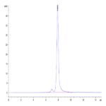 Mouse Factor H/CFH Protein BP004388 Syd Labs