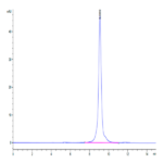 Rat Coagulation Factor II Protein BP003275 Syd Labs