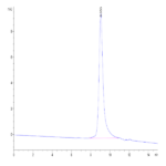 Human CTGF/CCN2 Protein (CGF-HM101)