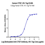 Human CTGF/CCN2 Protein BP004038 Syd Labs
