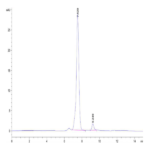Rat CKMT2 Protein BP003346 Syd Labs