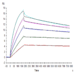 Human Claudin 18.2 Protein-VLP BP005241 Syd Labs