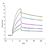 Human Claudin 6 Protein-VLP BP005187 Syd Labs