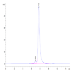 Human CLEC2D Protein BP004593 Syd Labs