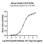 Mouse Claudin 6 Protein-VLP BP004089 Syd Labs