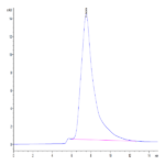 Human CLEC10A Protein BP004499 Syd Labs