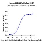 Human CLEC12A/MICL/CLL-1 Protein BP005780 Syd Labs