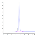 Human CLEC14A Protein BP003897 Syd Labs