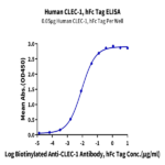 Human CLEC-1 Protein BP004572 Syd Labs