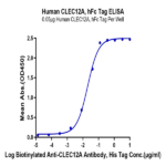 Human CLEC12A/MICL/CLL-1 Protein BP005291 Syd Labs
