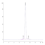 Human CLEC2B Protein BP003253 Syd Labs