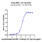 Human MDL-1/CLEC5A Protein BP004592 Syd Labs