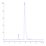 Human CLEC7A Protein BP004054 Syd Labs