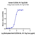 Human CLEC9A Protein BP004705 Syd Labs