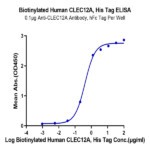 Biotinylated Human CLEC12A/MICL/CLL-1 Protein BP005063 Syd Labs