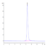 Biotinylated Human CLEC12A/MICL/CLL-1 Protein (CLE-HM42AB)