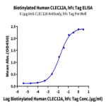 Biotinylated Human CLEC12A/MICL/CLL-1 Protein BP004344 Syd Labs