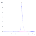 Mouse CLEC10A Protein BP004510 Syd Labs
