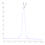 Mouse CLEC-1 Protein BP004550 Syd Labs