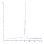 Mouse CLEC4A/DCIR Protein BP004487 Syd Labs