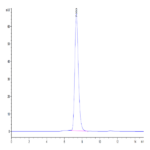 Mouse MDL-1/CLEC5A Protein BP004591 Syd Labs