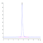 Mouse CLEC7A Protein BP004040 Syd Labs