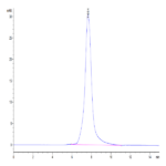 Mouse CLEC9A Protein BP004697 Syd Labs