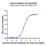 Human Clusterin Protein BP004373 Syd Labs