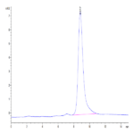 Mouse Clusterin Protein BP004377 Syd Labs