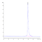 SARS-CoV-2 3CLpro/3C-like Protease Protein (E166A) (COV-VE0LI)