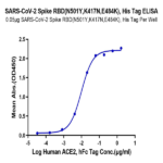 SARS-COV-2 Spike RBD (N501Y