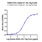 SARS-COV-2 Spike S1 Protein (COV-VM1S1)