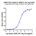 SARS-COV-2 Spike S1 (N501Y) Protein (COV-VM1SY)